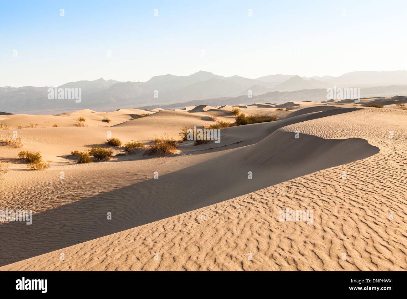 Le dune di sabbia di Mesquite piatto nella Valle della Morte nel deserto - California Foto Stock