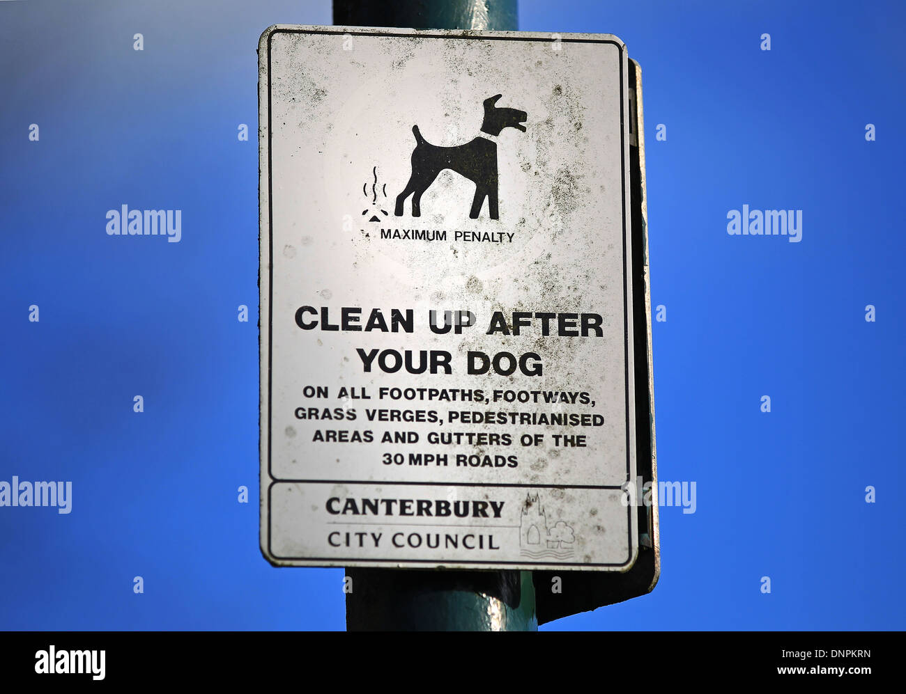 Canterbury City Council " Pulizia dopo il vostro cane' segno attaccato ad un palo e impostare contro un cielo blu Foto Stock