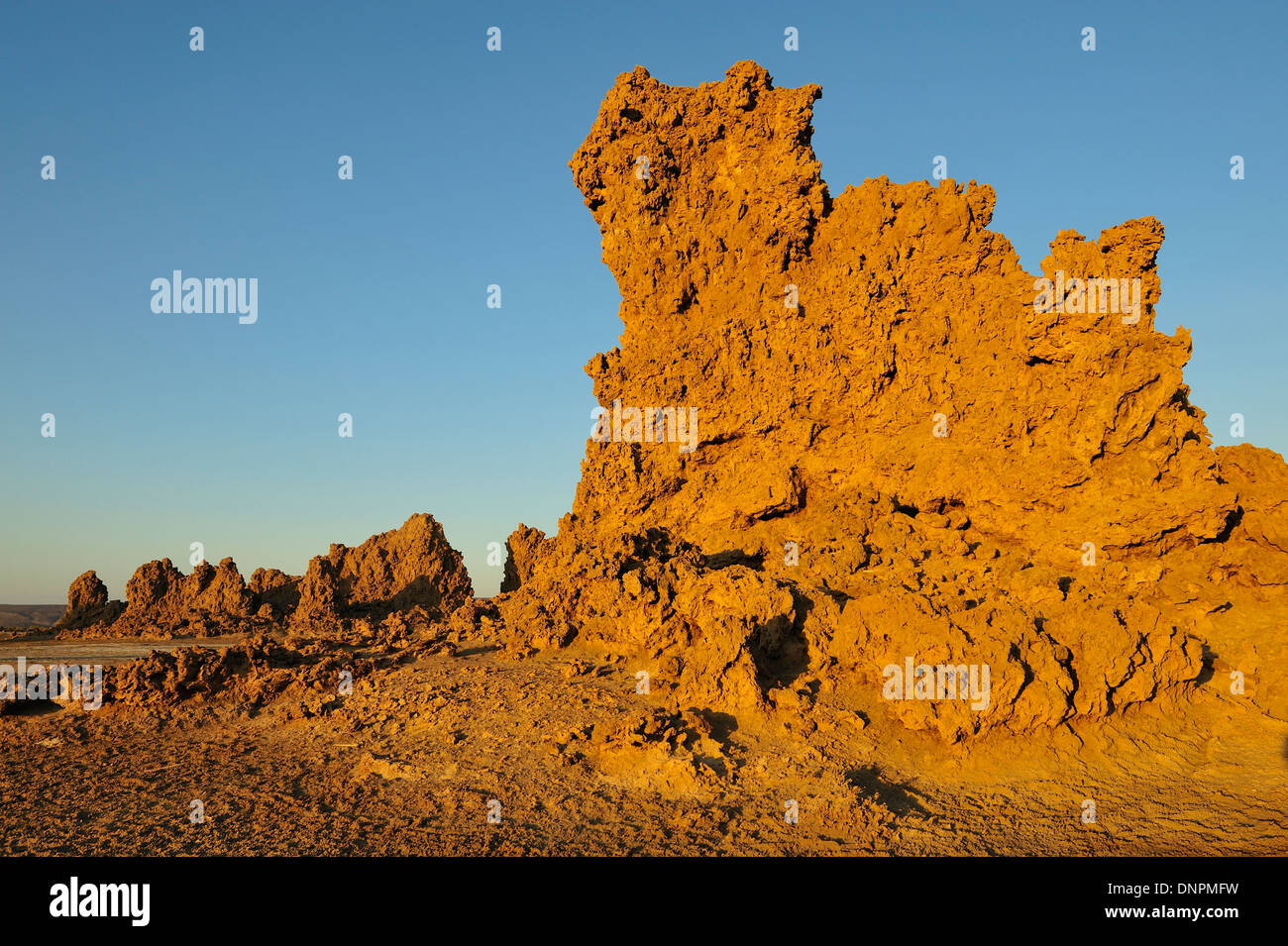 Camini di pietra calcarea in Lago di Abbe a Gibuti, Corno d Africa Foto Stock