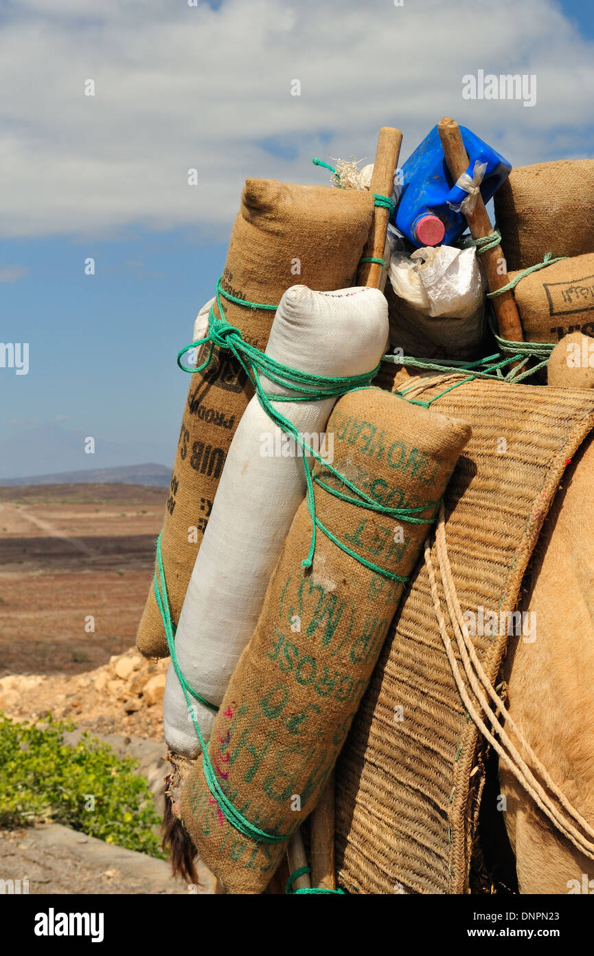 Sacchetti di sale trasportati sul dorso di un cammello sulla rotta del sale a Gibuti Foto Stock