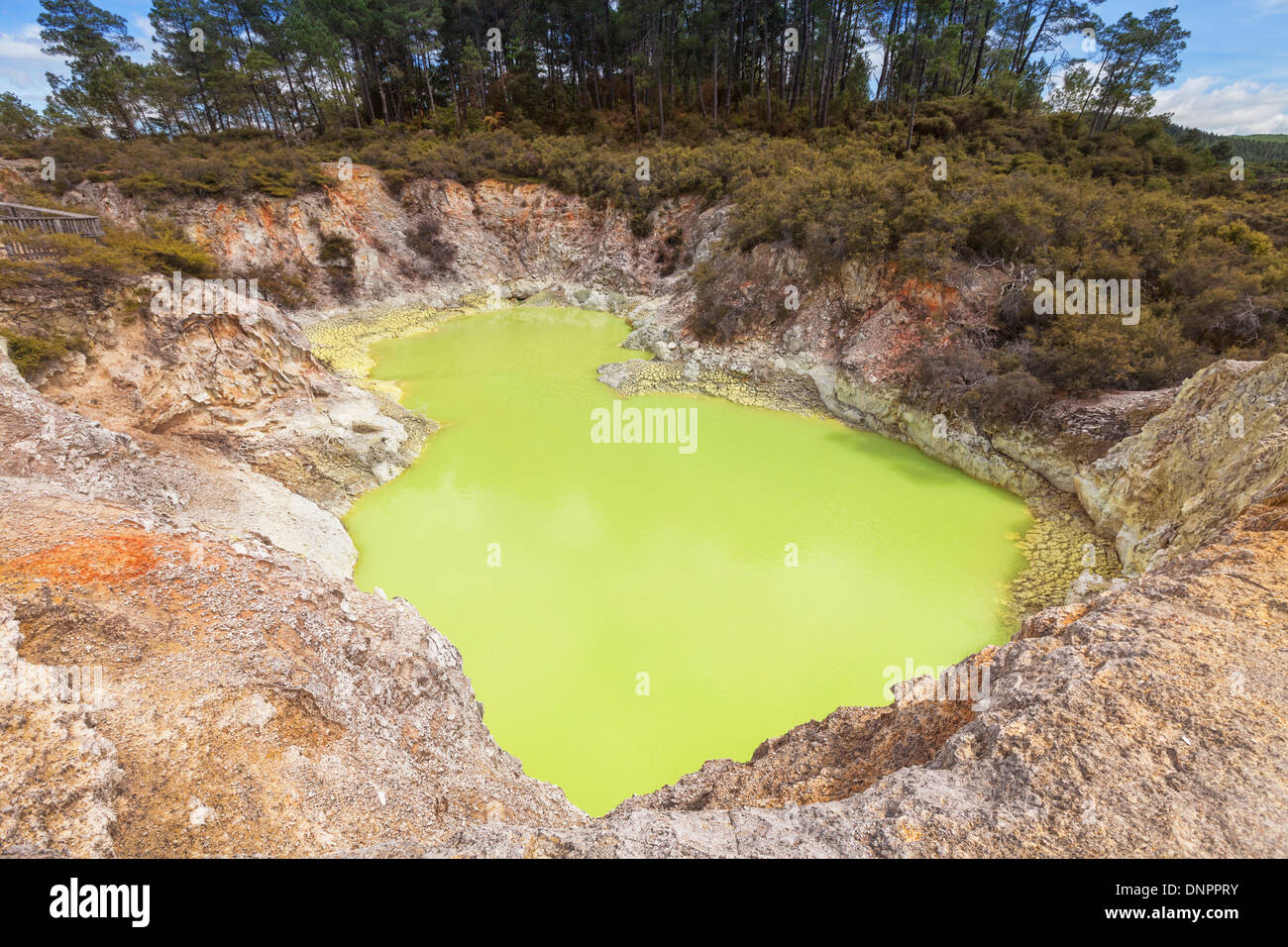 Il Devil's bagno, una piscina di acqua sulfurea nel Waiotapu zona termale, vicino a Rotorua, in Taupo zona vulcanica. Foto Stock
