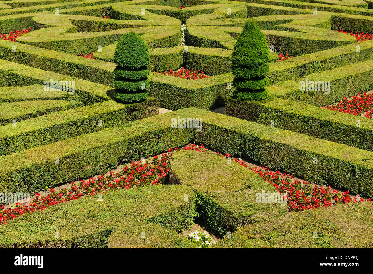 Vista in elevazione del formale giardino coperto al castello di Villandry, Indre-et-Loire (Reparto), Valle della Loira, Francia Foto Stock