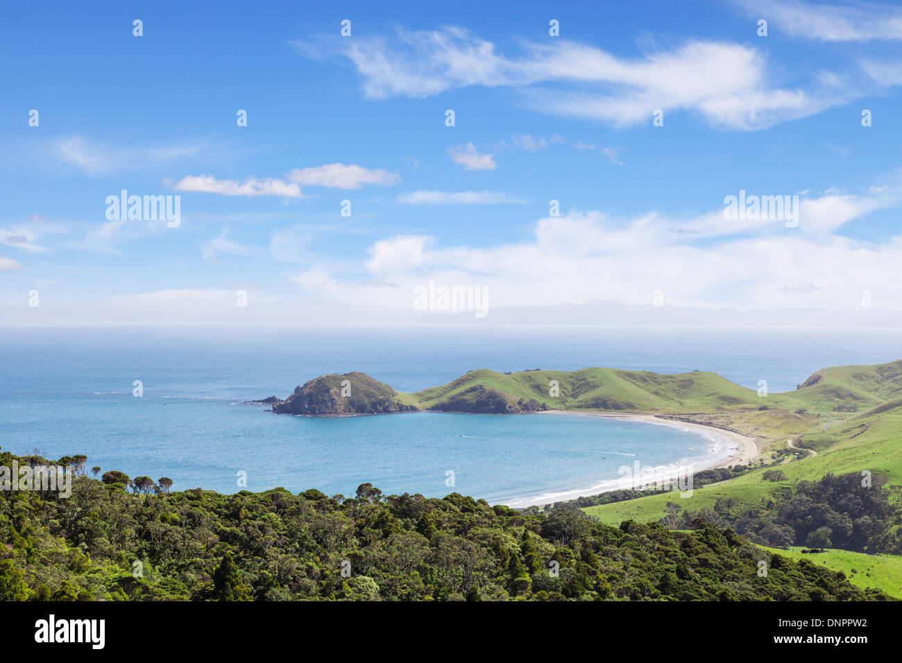 Una vista sul porto di Jackson, Coromandel, Nuova Zelanda. Foto Stock