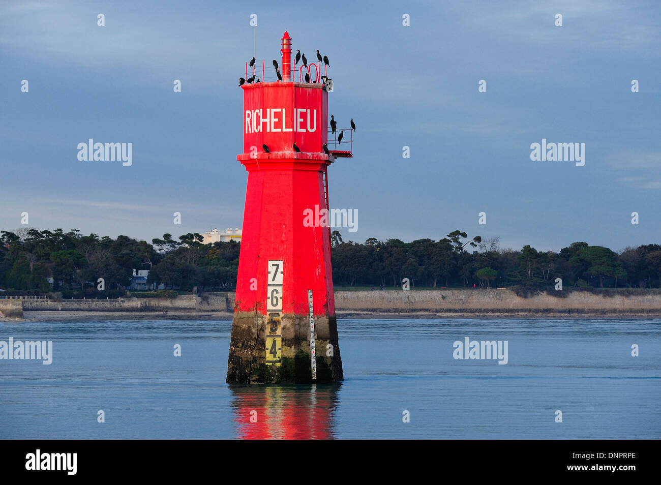 Richelieu tag mostra barche di entrata a La Rochelle porta in Charente-Maritime, Francia Foto Stock