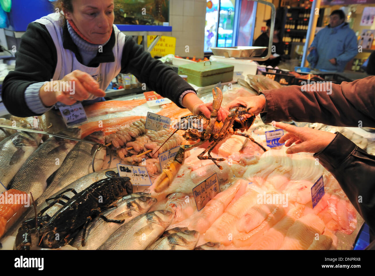 Negozio di pesce nel mercato coperto di Royan, Charente-Maritime, Francia Foto Stock