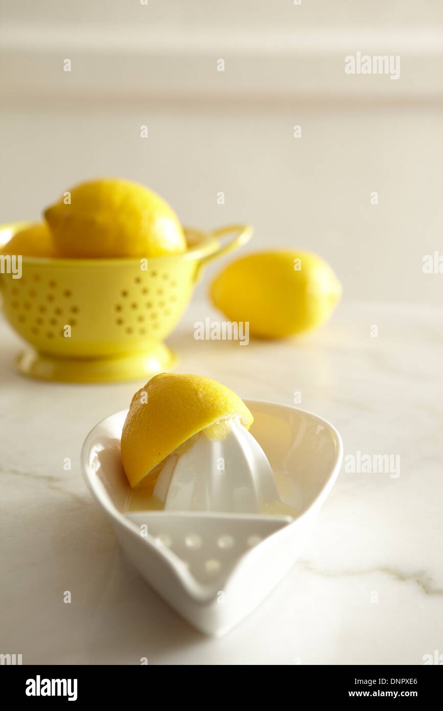 I limoni e il succo alesatore, Studio Shot Foto Stock