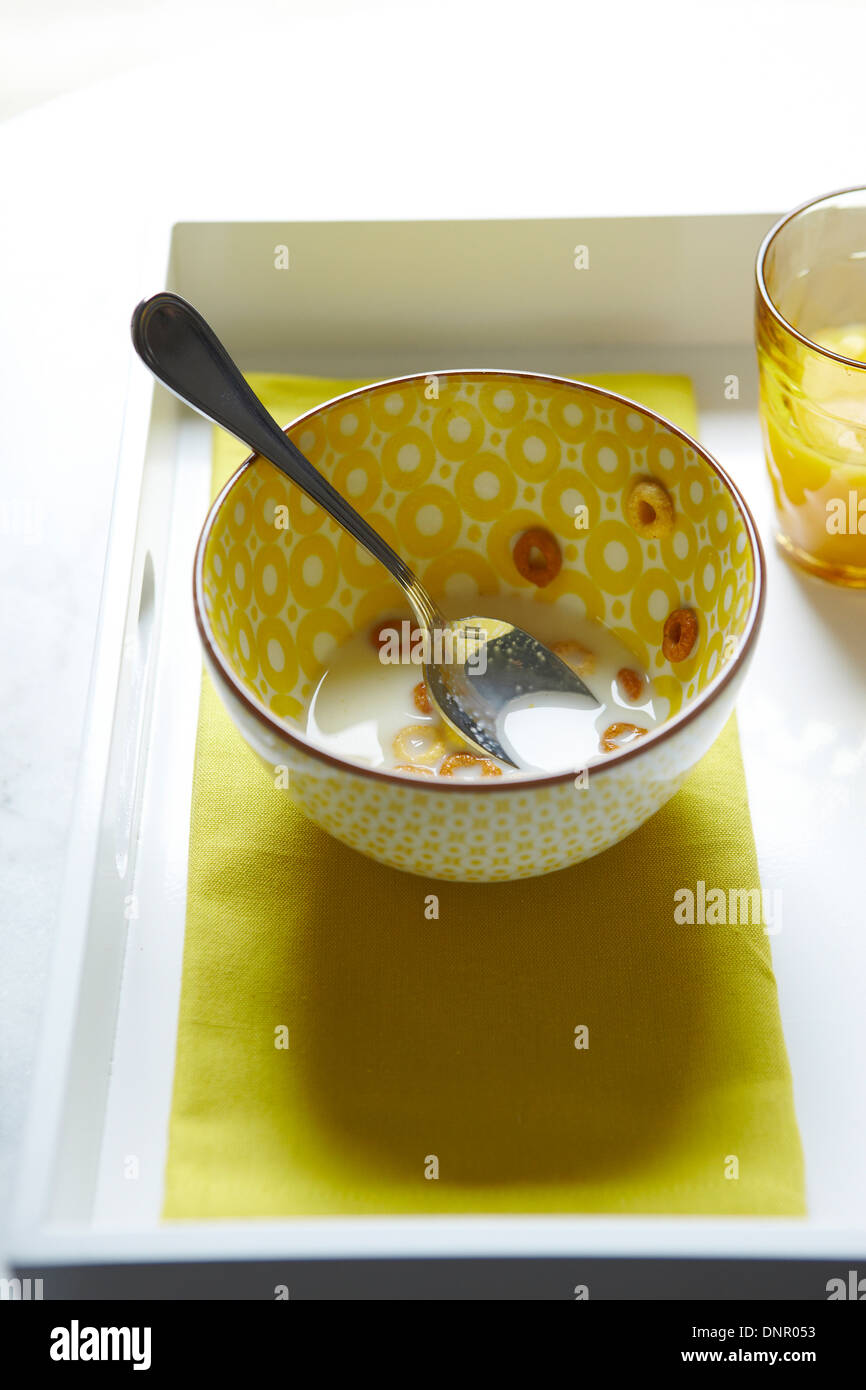 Cucchiaio in mangiato ciotola del cerchio di avena Cereali, Studio Shot Foto Stock