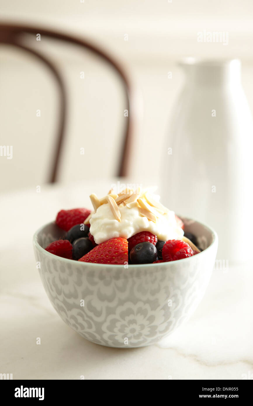 Frutti di bosco e yogurt in una terrina Studio Shot Foto Stock