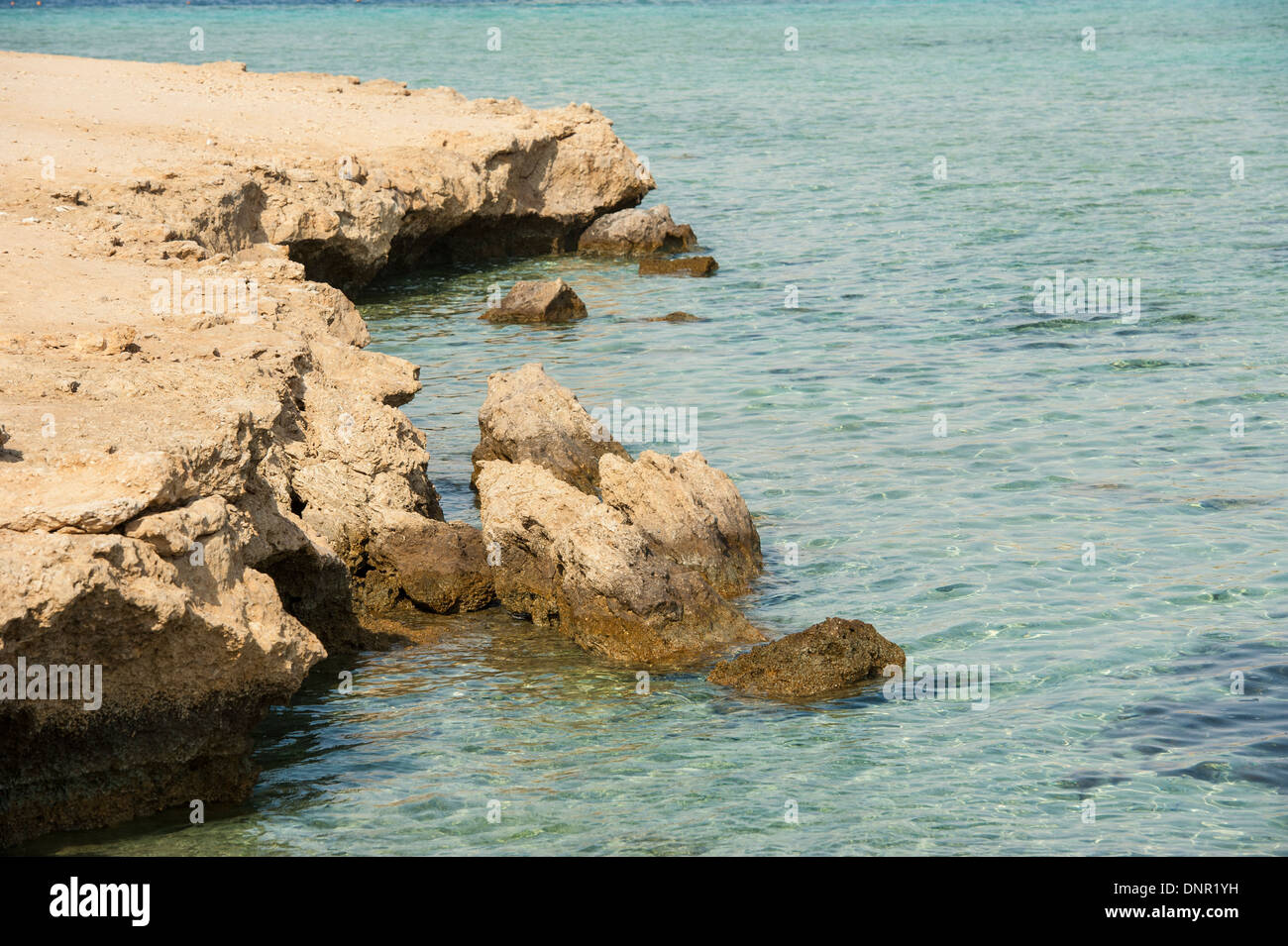 Primo piano della costa rocciosa dettaglio in una laguna tropicale Foto Stock