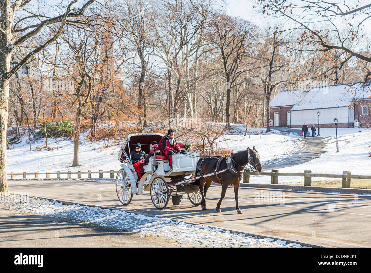 Il turista a godere di un tradizionale cavallo e carrozza nella neve in inverno a Central Park di New York, Stati Uniti d'America Foto Stock