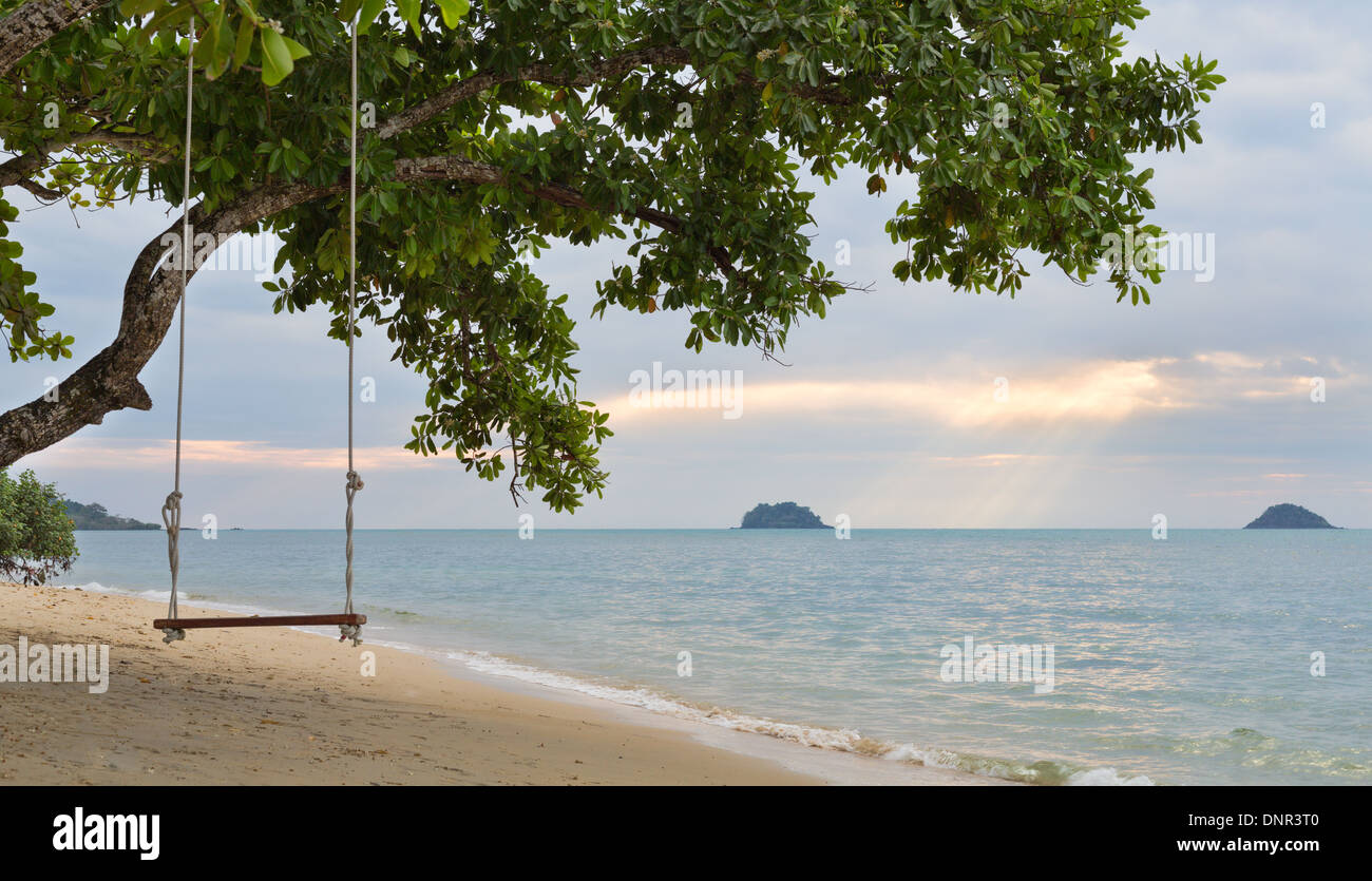 Swing corda su un albero di mangrovie su una spiaggia al tramonto sullo sfondo del cielo, i raggi del sole da dietro le nuvole Foto Stock