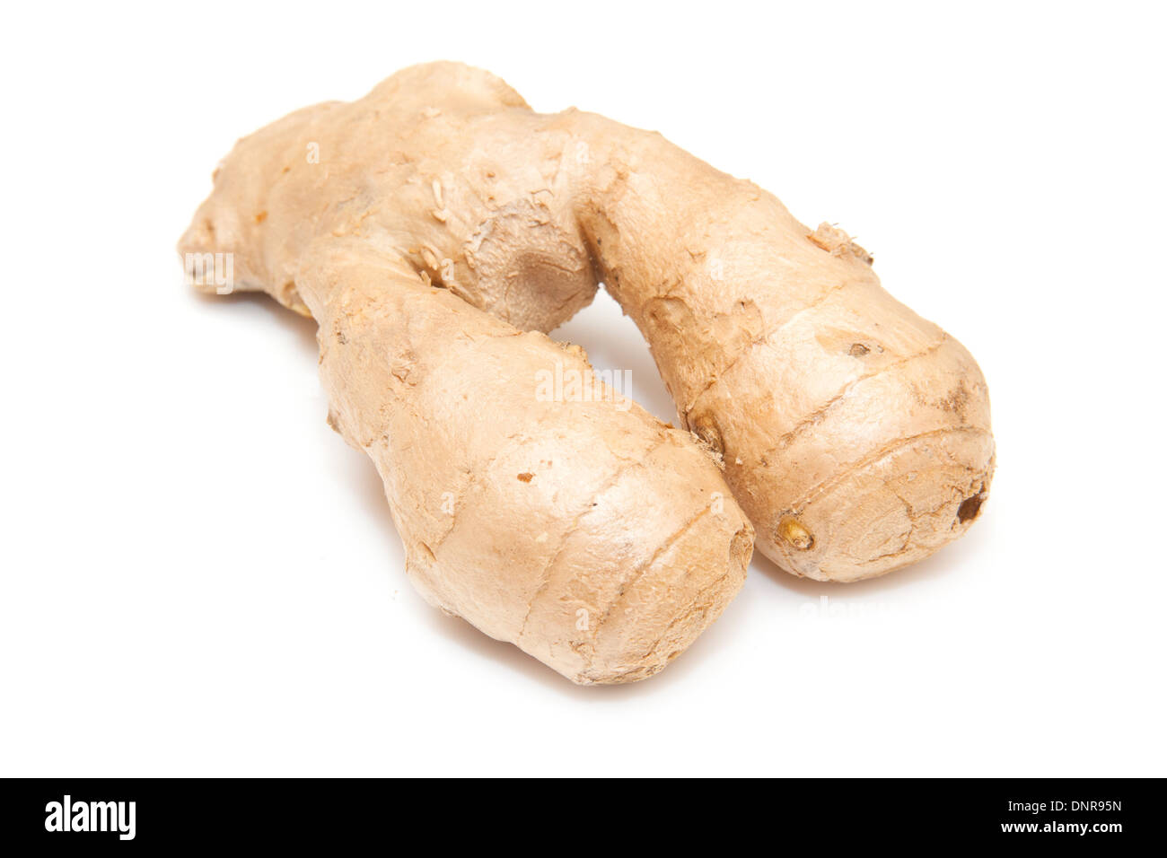 Radice fresca di zenzero isolato su un bianco di sfondo per studio. Foto Stock