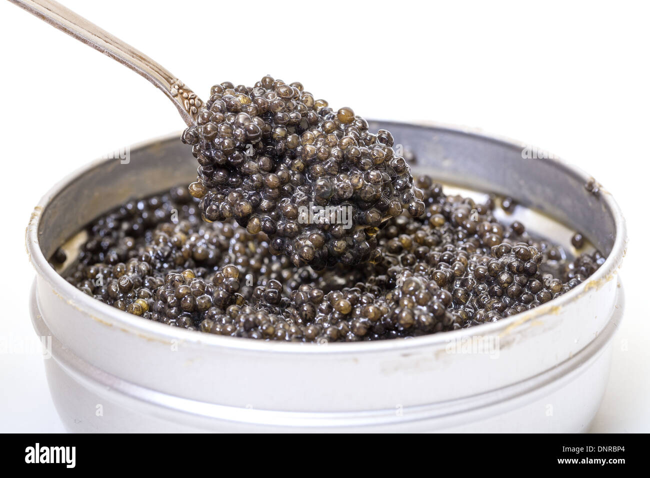 Il caviale nero in cucchiaio dal metallo può, angolo alto su sfondo bianco Foto Stock