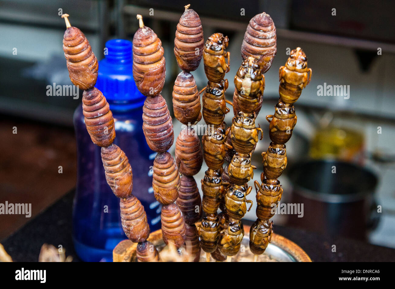 Pupa-shish kebab in Via Wangfujing di Pechino, Cina Foto Stock