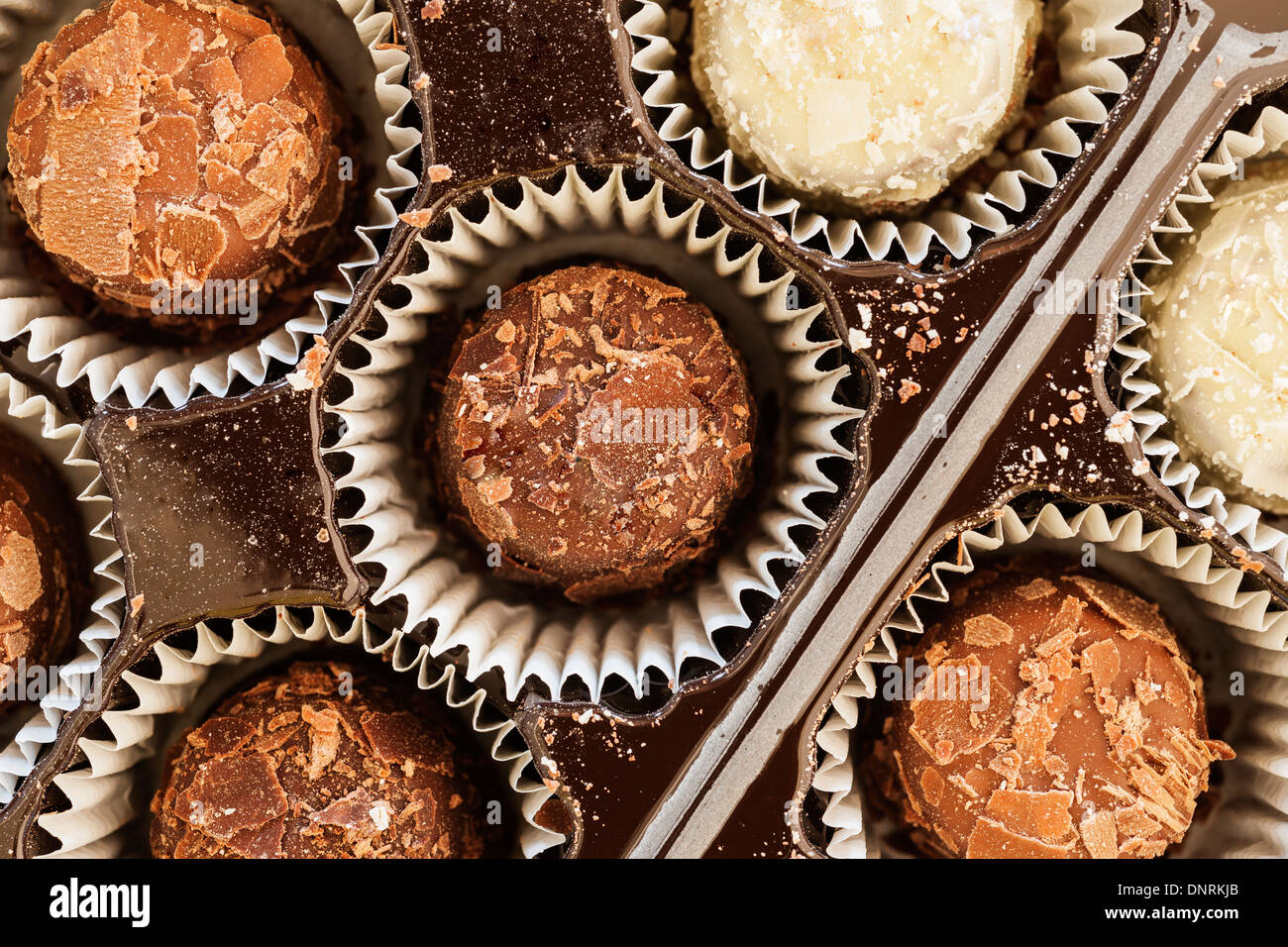 Una selezione di Guylian belga di tartufi al cioccolato Foto Stock