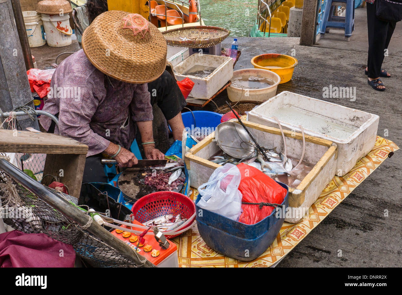 La lavorazione del pesce da parte del fornitore, l'Isola di Lantau, Hong Kong, Cina Foto Stock