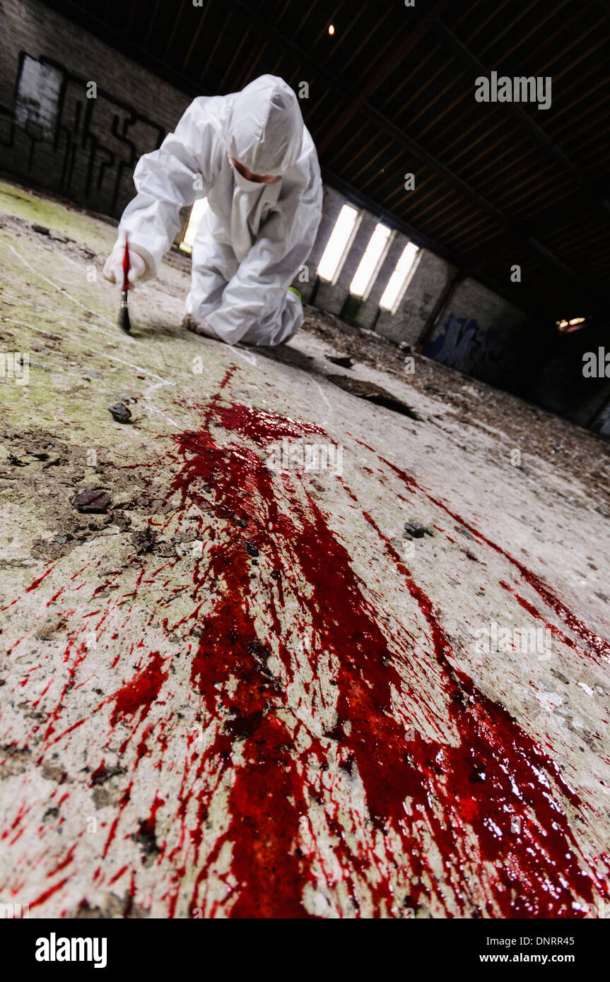 Scena del Crimine Officer (SOCO) esamina un'area attorno ad alcuni il sangue su di un pavimento [poste dal modello] Foto Stock