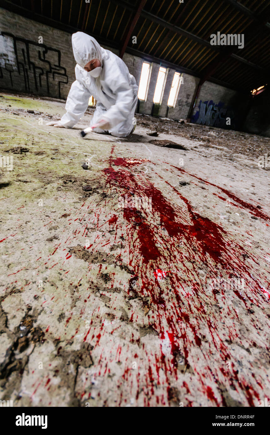 Scena del Crimine Officer (SOCO) esamina un'area attorno ad alcuni il sangue su di un pavimento [poste dal modello] Foto Stock