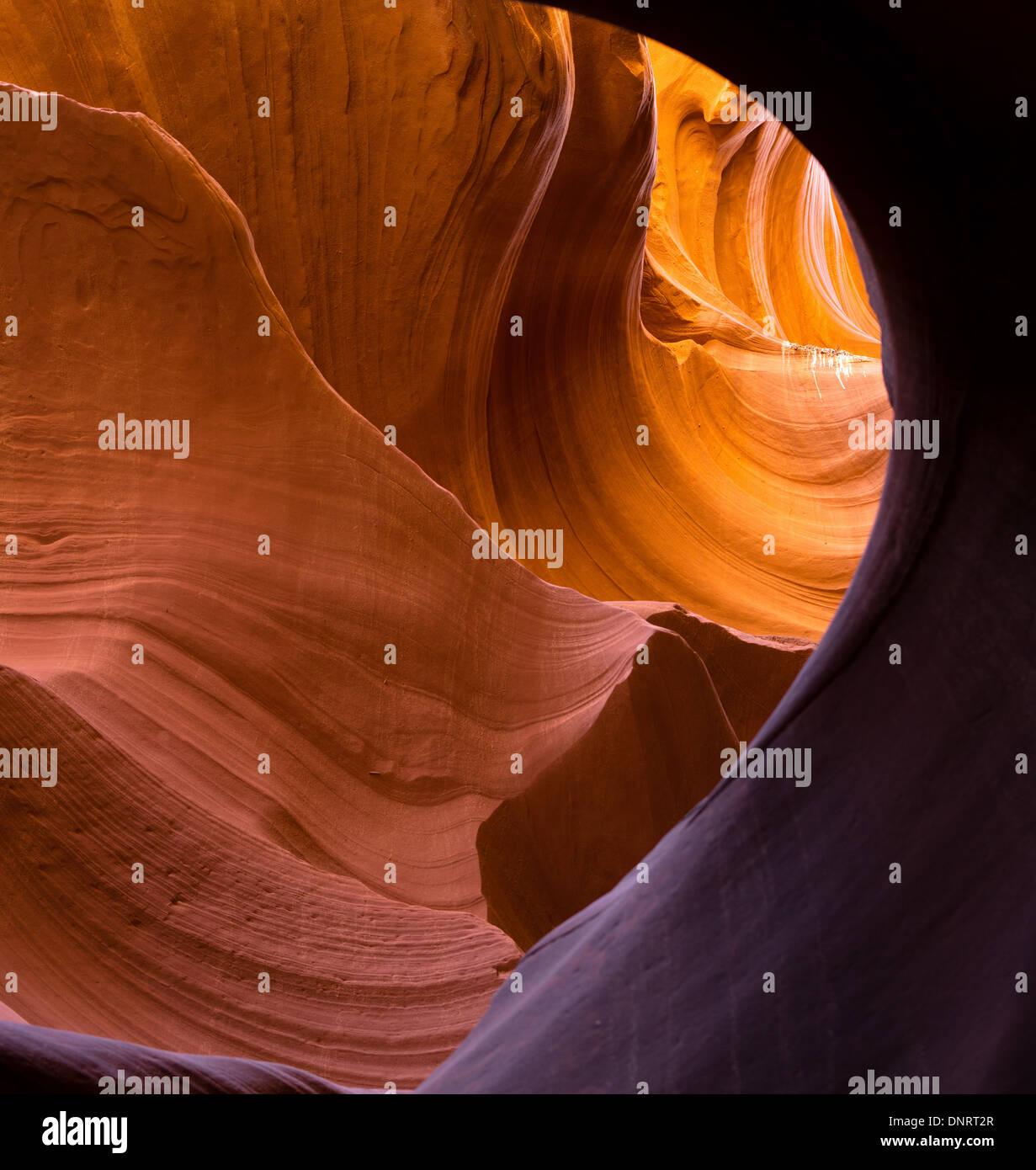 Rusty-colore rosso delle pareti di Antelope Canyon USA Arizona Foto Stock