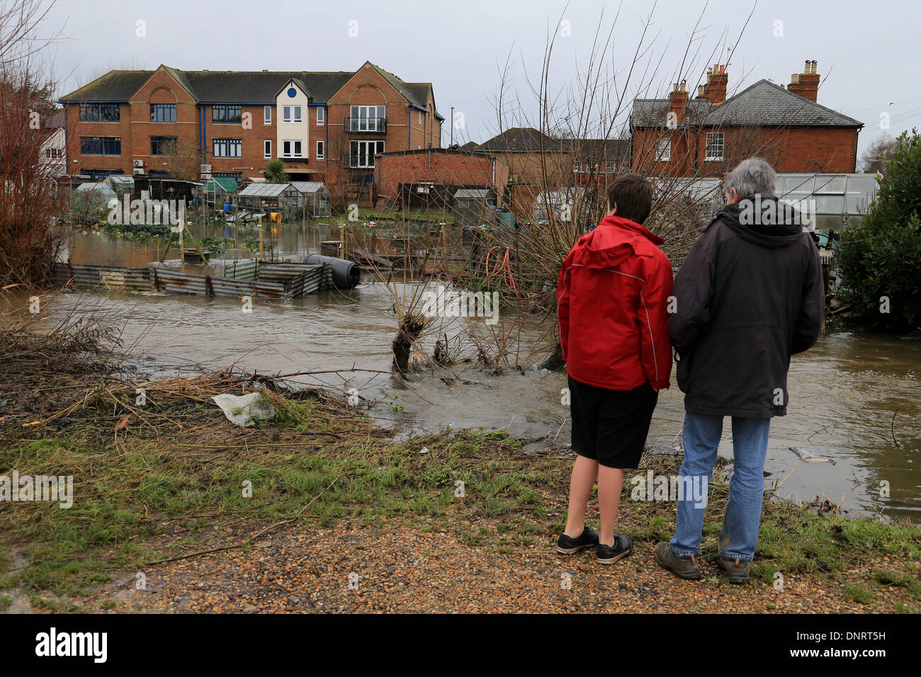 Godalming, Regno Unito. Gen 5, 2013. Inondati di giardini in Godalming, Surrey questa mattina dopo il fiume Wey burst le sue banche di nuovo. Credito: Joanne Roberts/Alamy Live News Foto Stock