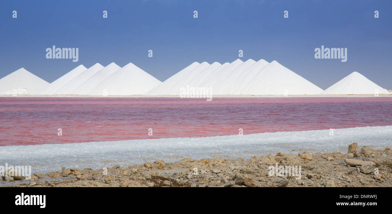 Il sale di mari operazione mineraria sull'isola caraibica di Bonaire. La reazione chimica in acqua lo trasforma rosa luminoso. Foto Stock