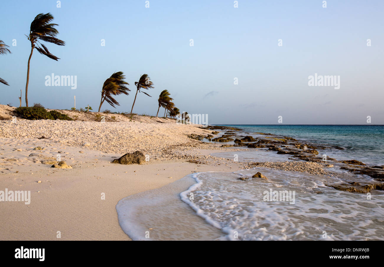 Il corallo frantumato che rende la spiaggia dà una tonalità di rosa al tramonto. Bonaire, Antille olandesi. Foto Stock