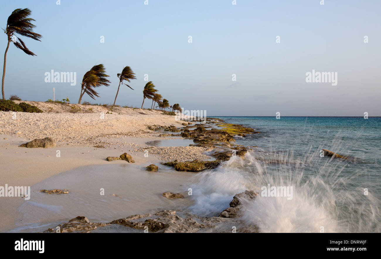 Il corallo frantumato che rende la spiaggia dà una tonalità di rosa al tramonto. Bonaire, Antille olandesi. Foto Stock