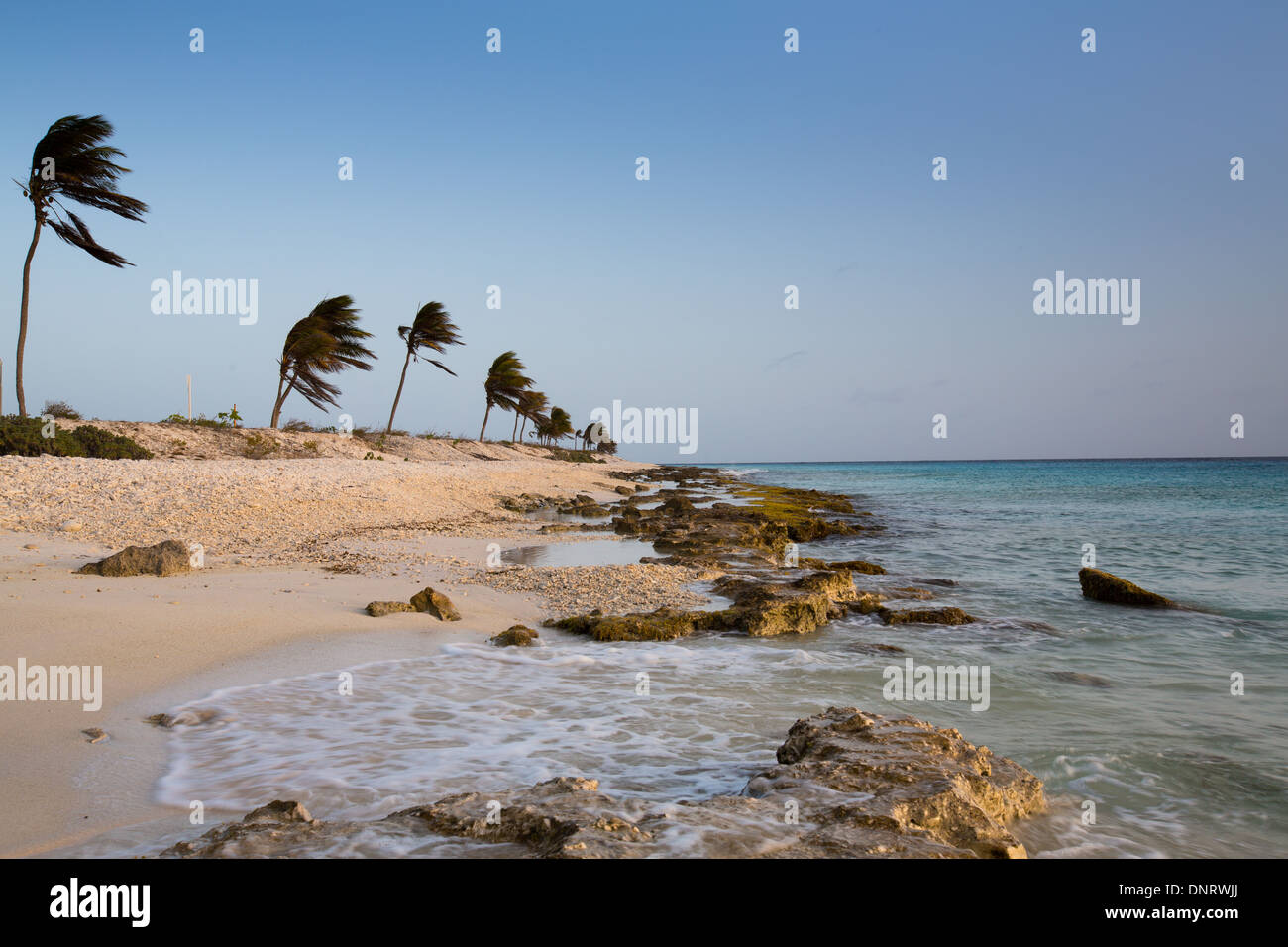 Il corallo frantumato che rende la spiaggia dà una tonalità di rosa al tramonto. Bonaire, Antille olandesi. Foto Stock