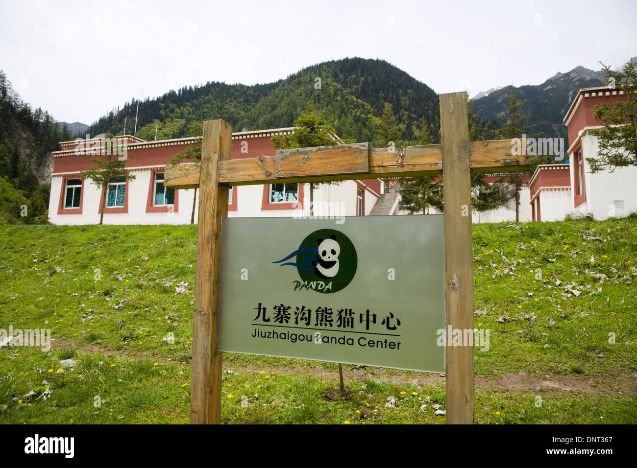 La Panda Jiuzhaigou centro nella valle di Jiuzhaigou natura cinese park, Sichuan, in Cina. Il centro svolge attività di ricerca sulla conservazione dei panda. (67) Foto Stock