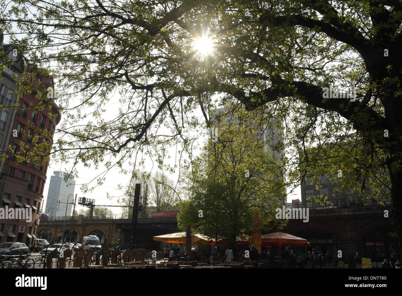 Sun stella che brilla attraverso foglie rami albero, Hackescher Markt, verso il viadotto ferroviario, An der Spandauer Brucke, Berlino Foto Stock
