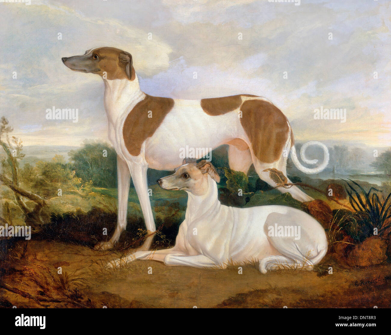 Charles Hancock, due levrieri in un paesaggio 1830-1850 Olio su tela. Yale Center per British Art di New Haven, Stati Uniti d'America. Foto Stock