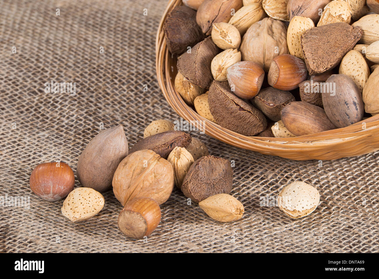 Dado misti cesta con le mandorle, le noci, le noci pecan, le nocciole e le noci del Brasile su tela lo sfondo Foto Stock