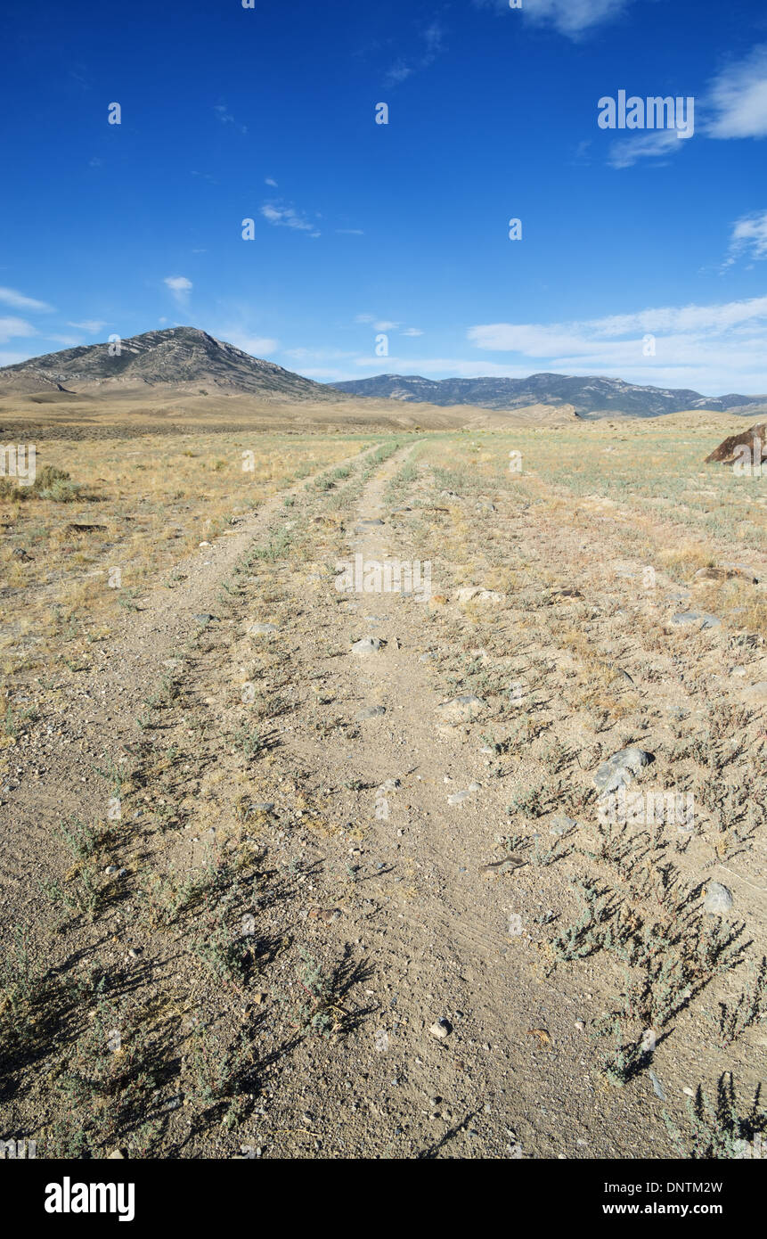 L'immagine verticale di ghiaia doubletrack Road in direzione di lontane montagne del Nevada Foto Stock