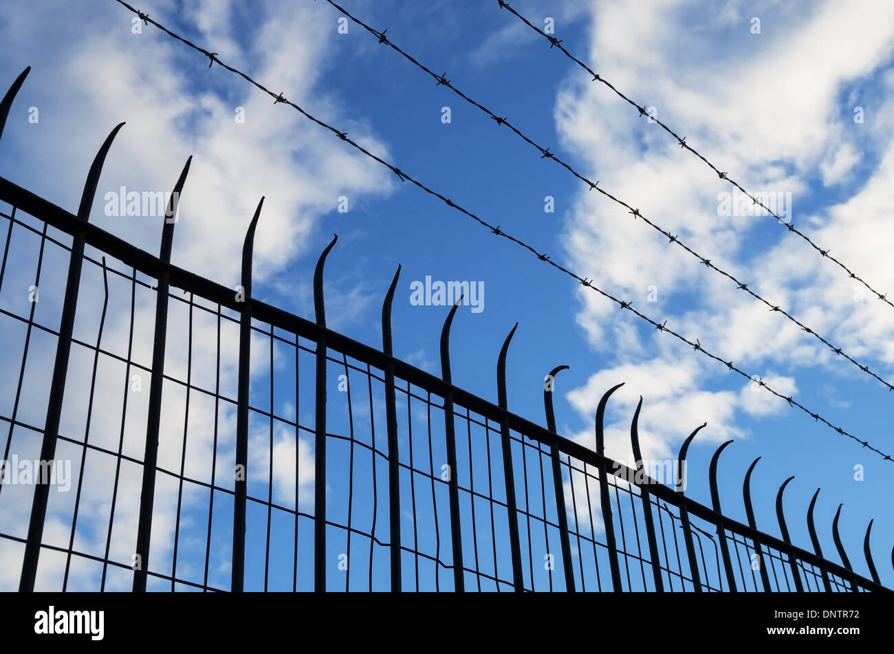 E spiked barb wire mesh silhouette di recinzione Foto Stock