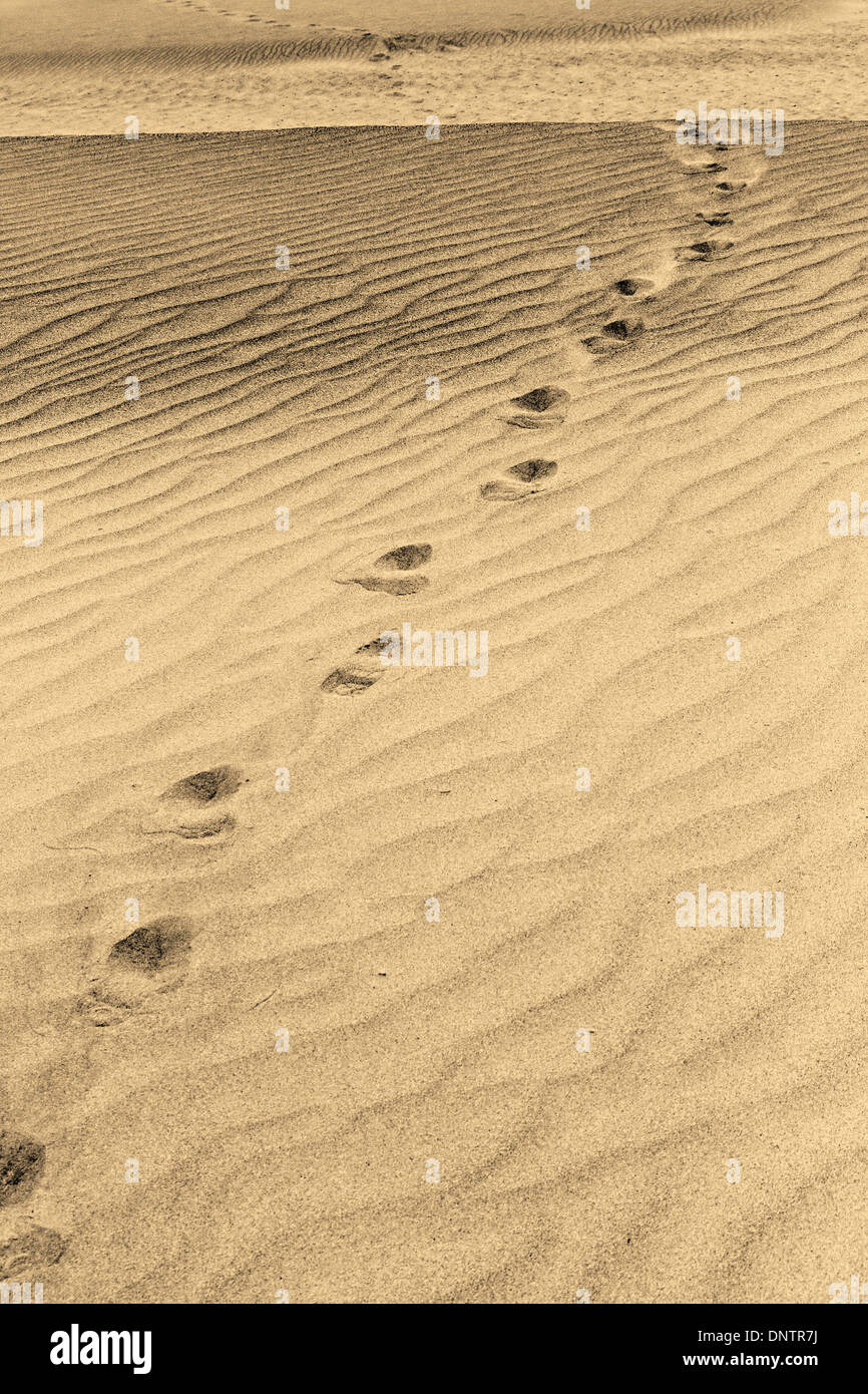 Bianco e nero segni sulla sabbia come sfondo Foto Stock