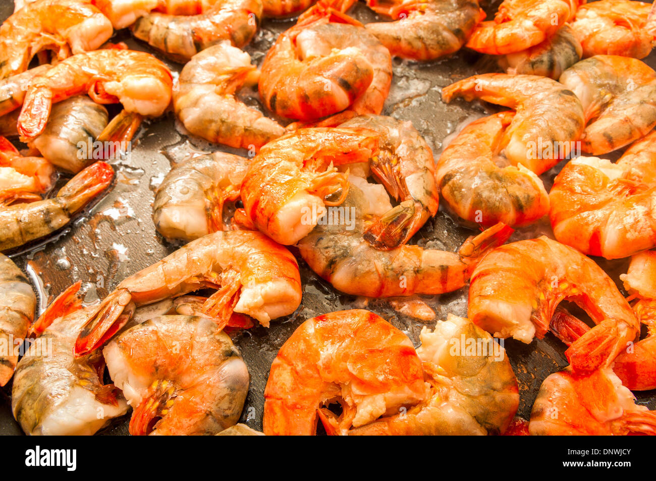 La frittura di gamberi close up Foto Stock