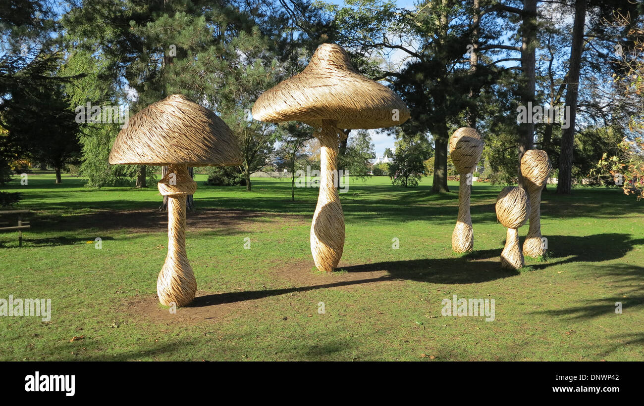 Tessuto di willow funghi presso i Royal Botanical Gardens di Kew, London, Regno Unito come parte di the IncrEdibles mostra durante il 2013 Foto Stock