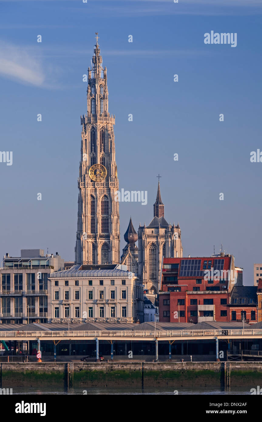Vista Città cattedrale di Anversa in Belgio Foto Stock Vista Città cattedrale di Anversa in Belgio Foto Stock