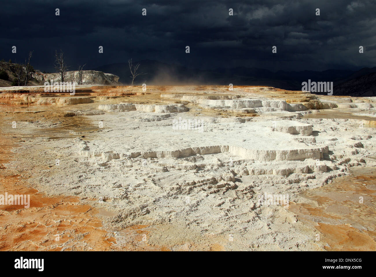 Terrazzi Mammoth Hot Springs sotto un cielo scuro, Yellowstone, Wyoming USA Foto Stock