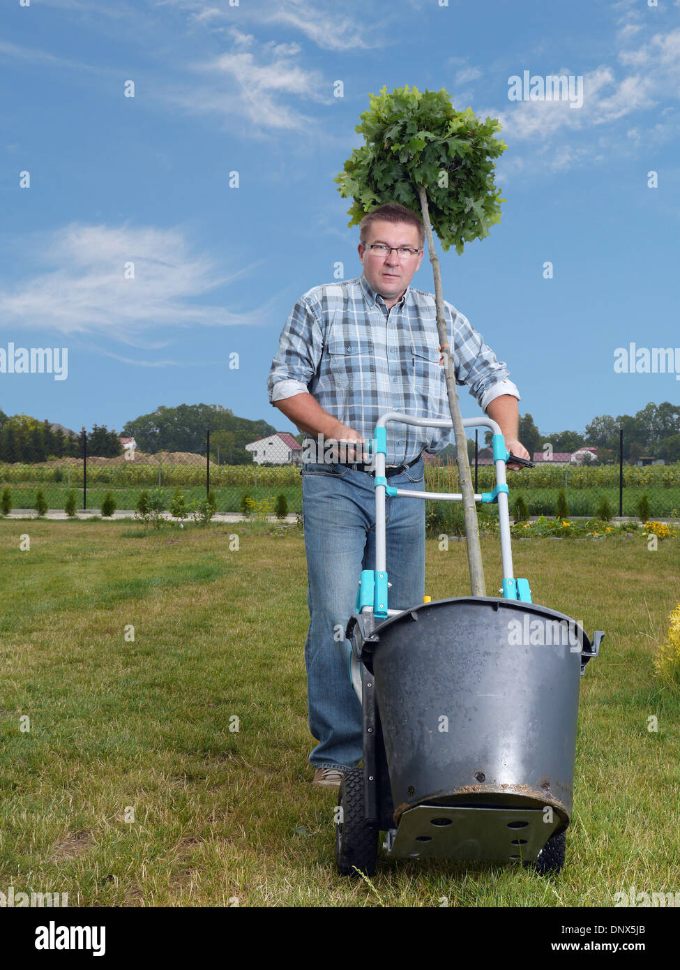 Giovane uomo che porta vasi di quercia con carrello elevatore a mano per essere piantato nel suo giardino Foto Stock