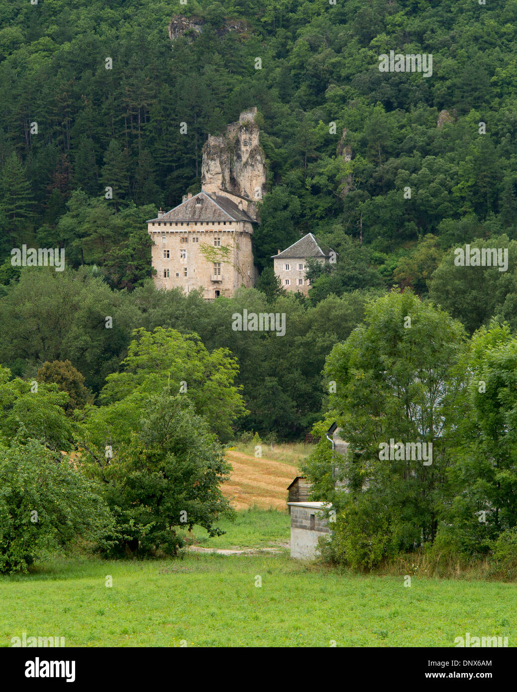 Château de Rocheblave è sulla riva opposta del fiume Tarn dal villaggio di Quézac e città di Ispagnac Foto Stock