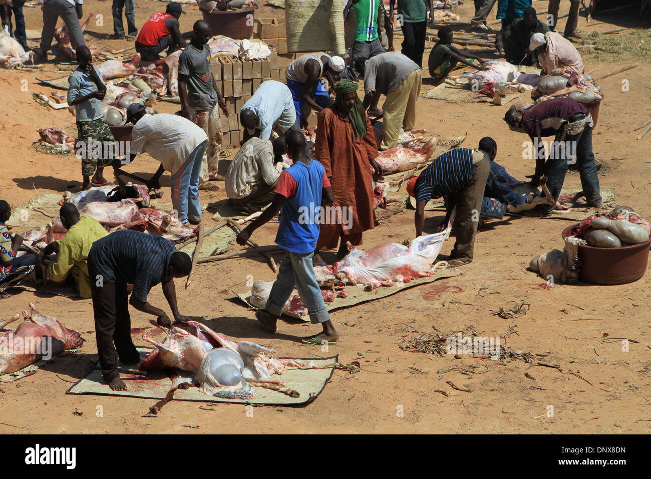 Gli uomini della comunità di Niamey, Niger lavorare insieme al sacrificio di pecore come parte della celebrazione della Tabaski (Eid-al-Adha) Foto Stock