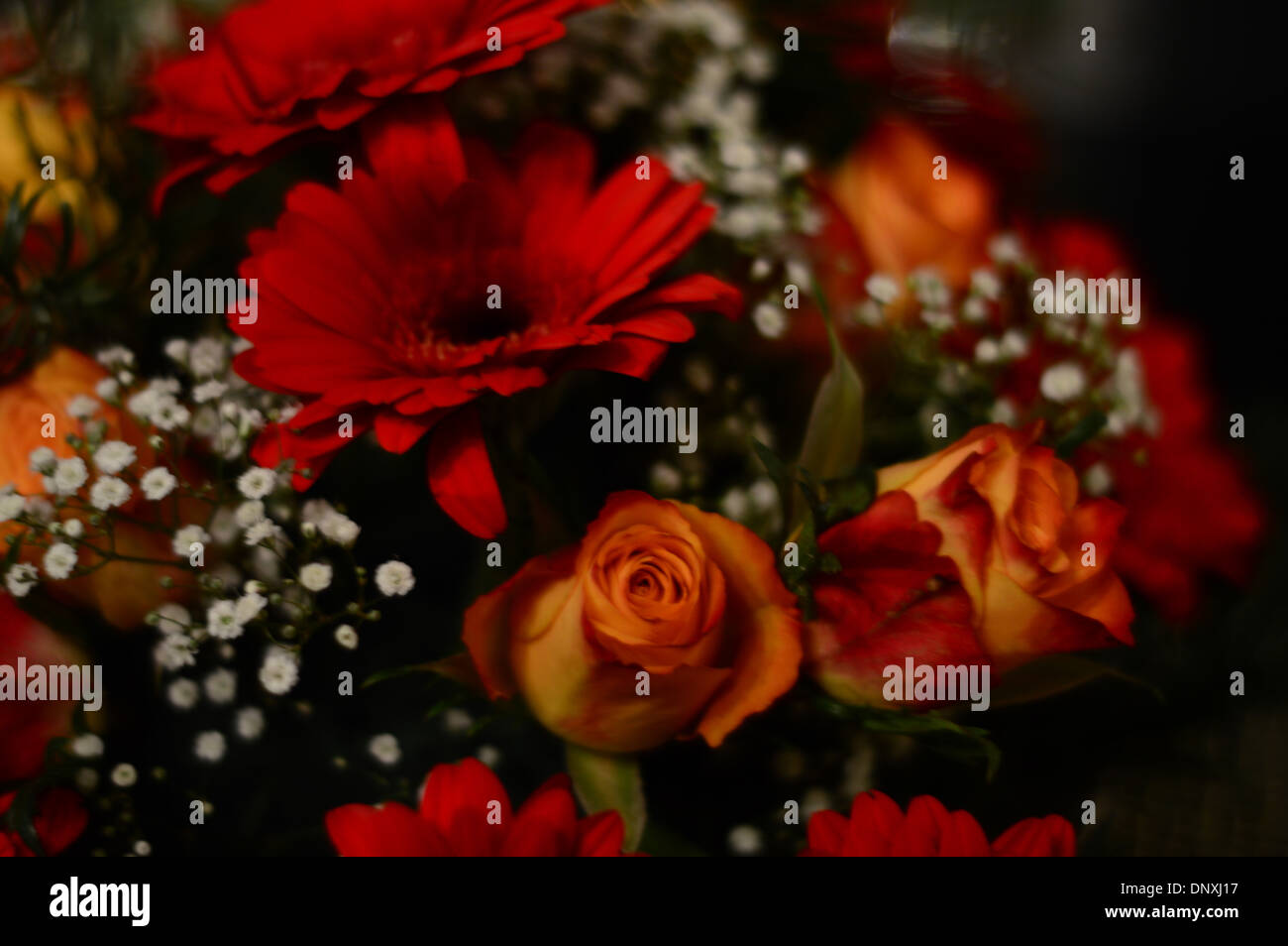 Una chiusura di un mazzo di fiori Foto Stock
