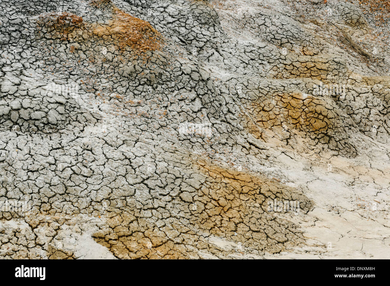 Popcorn modelli di suolo crepe su terreni fangosi, sabbiosi in badlands, , Theodore Roosevelt NP (sud), il Dakota del Nord, STATI UNITI D'AMERICA Foto Stock