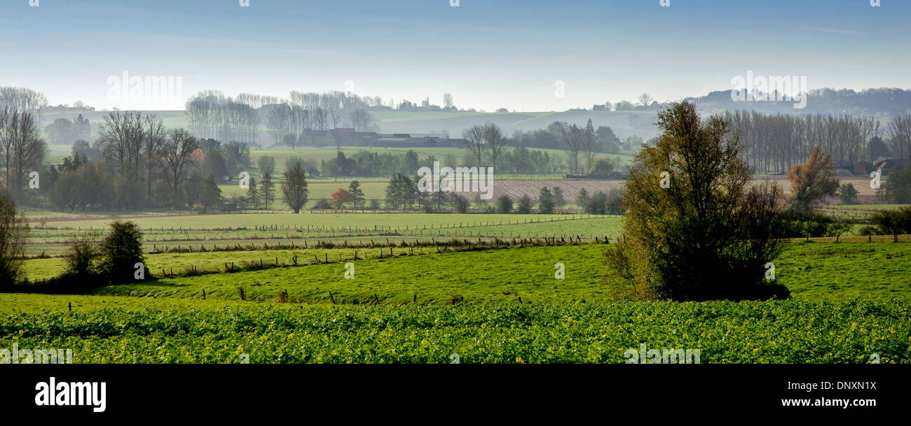 Paesaggio rurale che mostra terreni agricoli a Pays des Collines nelle Ardenne fiamminghe, Hainaut, Belgio Foto Stock
