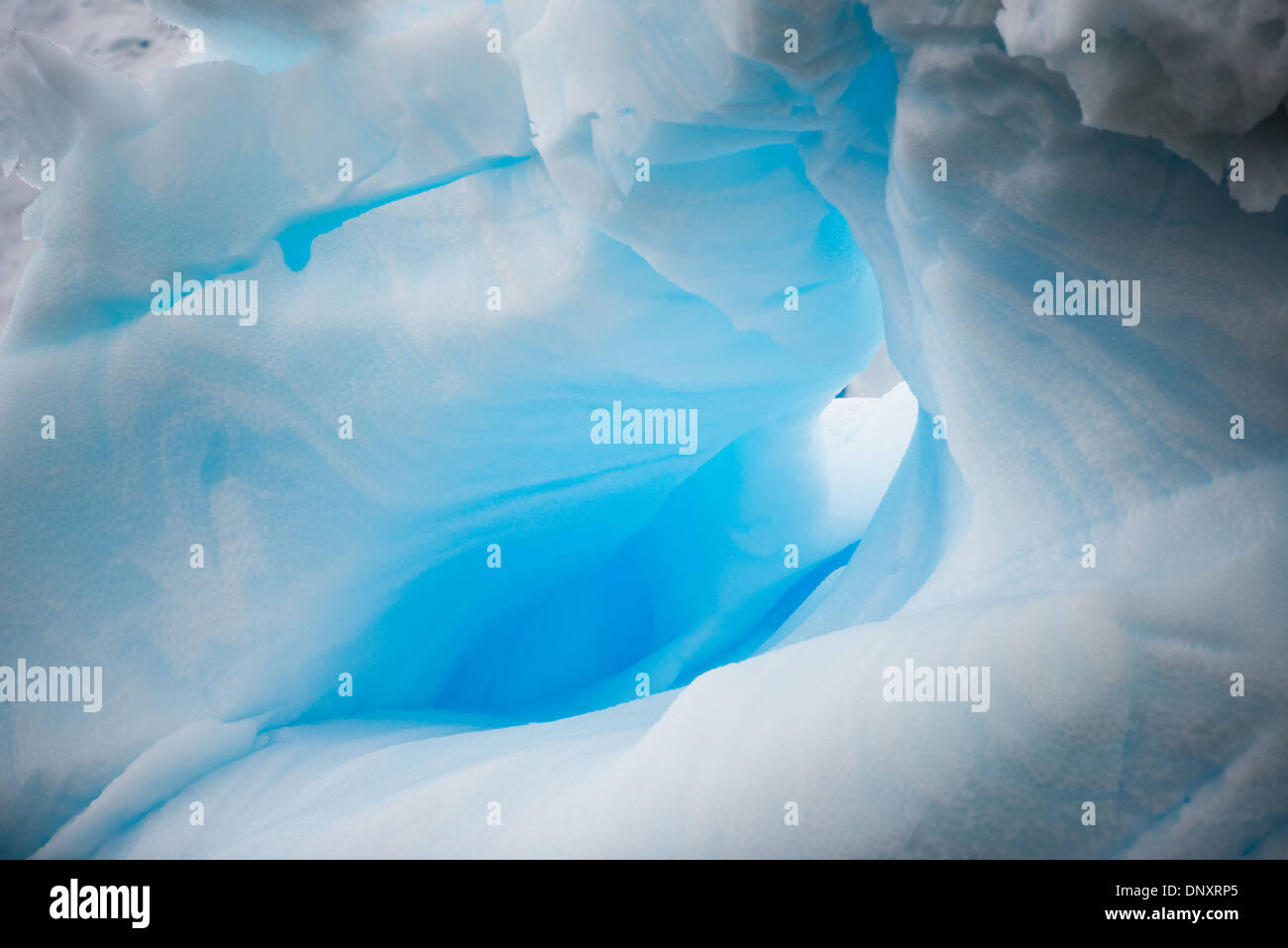 Antartide - un liscio, piccola caverna che è di colore blu in luce in un iceberg in Curtis Bay sulla penisola antartica. Foto Stock