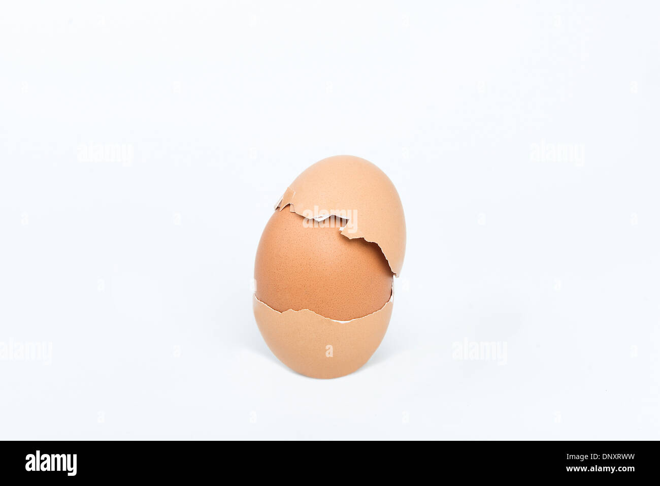 Uovo con doppio guscio Foto Stock