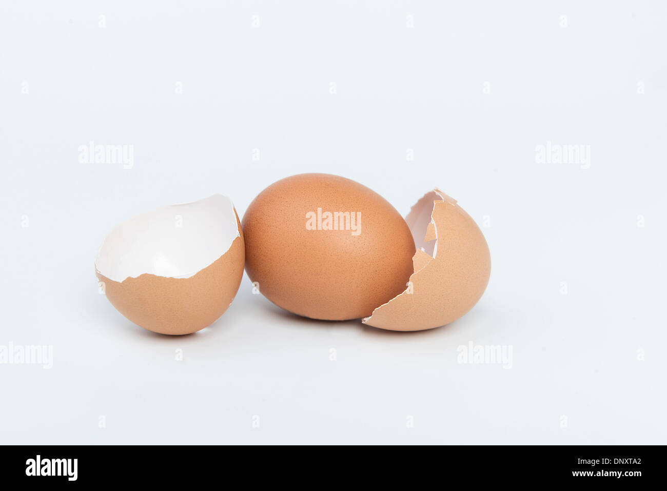 Uovo con doppio guscio Foto Stock