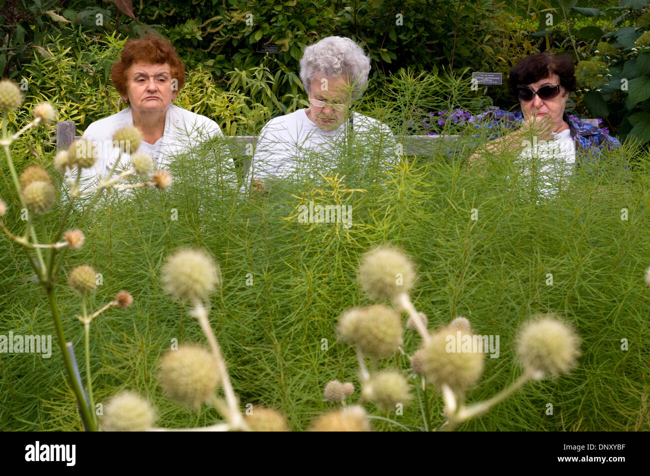 Stati Uniti New York Manhattan turismo estate bella prety icona liberty incons New York Giardino botanico Giardino botanico Giardino botanico Foto Stock