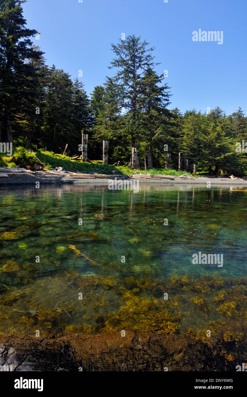 Camera Mortuaria poli lungo il cove, SGang Gwaay Isola, Gwaii Haanas NP, Haida Gwaii (Queen Charlotte isole), BC, Canada Foto Stock